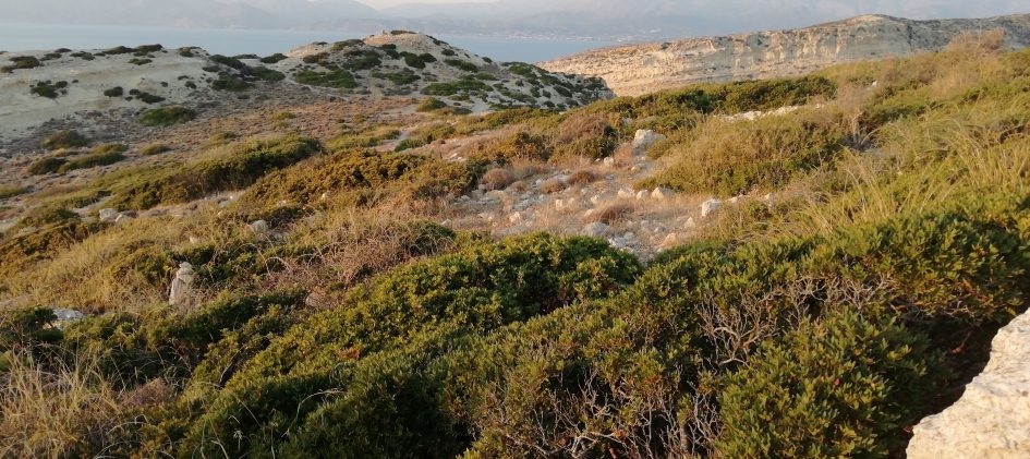 Kreta Impression